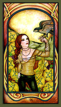 Nine of Pentacles (Coins)