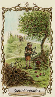 Ace of Pentacles (Coins)
