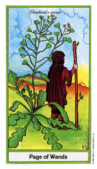 Page of Wands