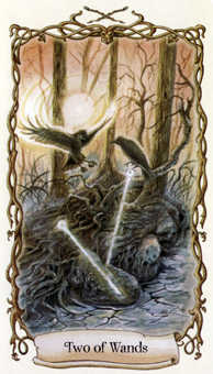 Two of Wands