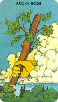 Ace of Wands