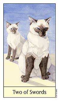 Two of Swords
