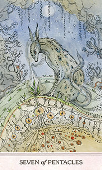 Seven of Pentacles (Coins)