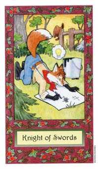 Knight of Swords