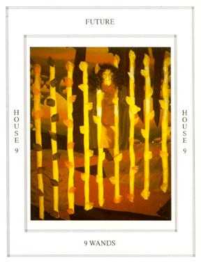 Nine of Wands