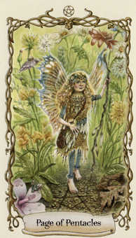 Page of Pentacles (Coins)