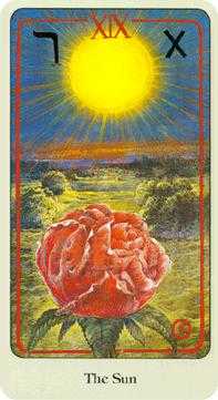 The Sun