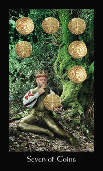 Seven of Coins