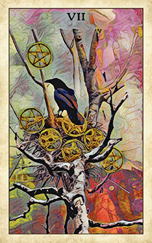 Seven of Pentacles (Coins)