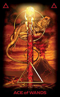 Ace of Wands