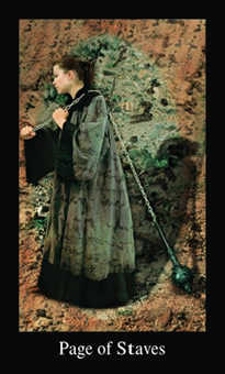 Page of Staves (Wands)
