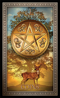 Ace of Pentacles (Coins)