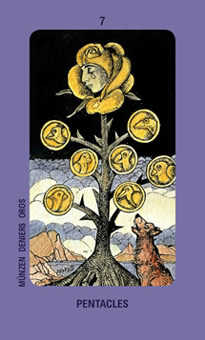 Seven of Coins