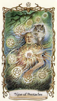 Nine of Pentacles (Coins)