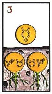 Three of Coins