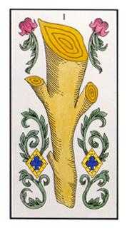 Ace of Wands