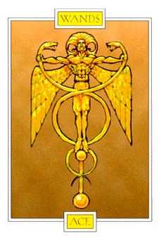 Ace of Wands