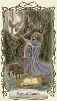 Page of Wands
