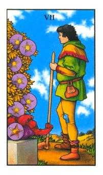 Seven of Pentacles (Coins)