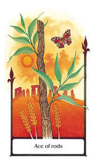 Ace of Rods (Wands)