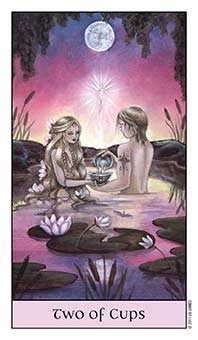 Two of Cups