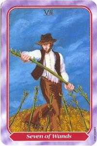 Seven of Wands