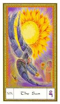 The Sun