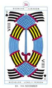 Nine of Spades (Swords)