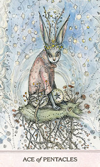 Ace of Pentacles (Coins)