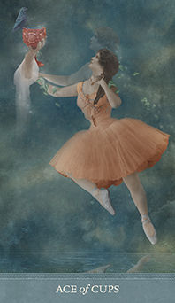 Ace of Cups