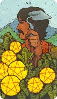 Seven of Coins