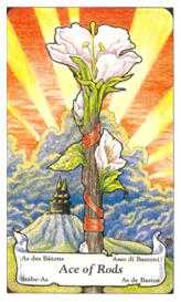 Ace of Wands