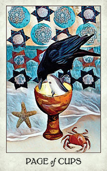 Page of Cups