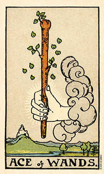 Ace of Wands