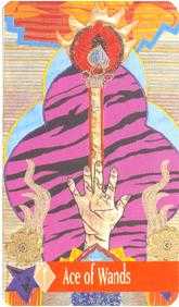 Ace of Wands