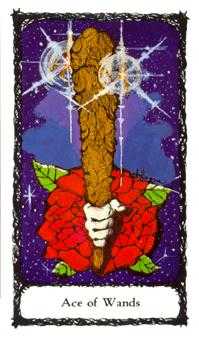 Ace of Wands