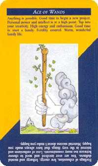 Ace of Wands