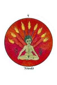 Nine of Wands