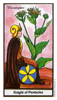 Knight of Coins