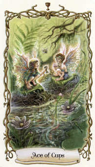 Ace of Cups