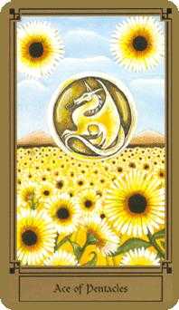 Ace of Coins