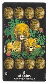 Nine of Coins
