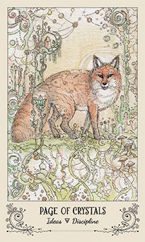 Page of Crystals (Coins)