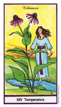 Temperance