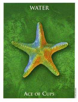 Ace of Cups