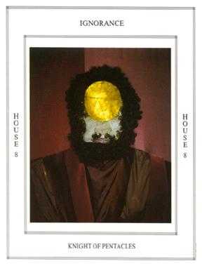 Knight of Pentacles (Coins)