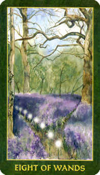 Eight of Wands