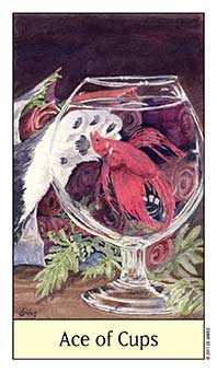 Ace of Cups