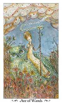 Ace of Wands