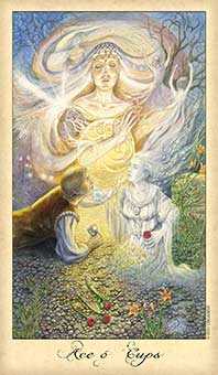 Ace of Cups